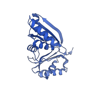 9307_6mzu_E_v1-3
Cryo-EM structure of the HO BMC shell: BMC-TD focused structure, closed state