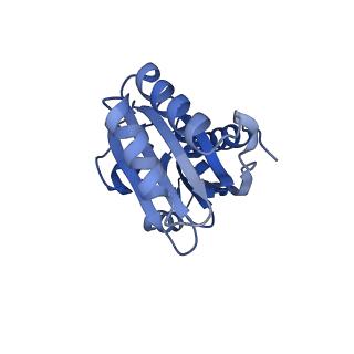 9307_6mzu_F_v1-2
Cryo-EM structure of the HO BMC shell: BMC-TD focused structure, closed state