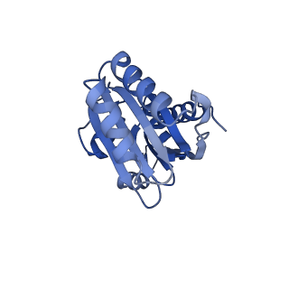 9307_6mzu_F_v1-3
Cryo-EM structure of the HO BMC shell: BMC-TD focused structure, closed state