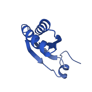 9307_6mzu_GA_v1-3
Cryo-EM structure of the HO BMC shell: BMC-TD focused structure, closed state