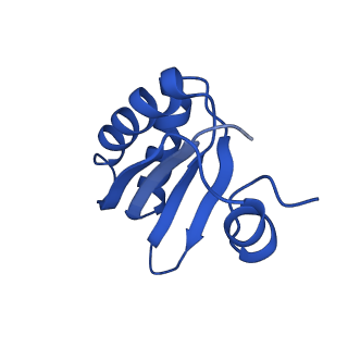 9307_6mzu_GB_v1-3
Cryo-EM structure of the HO BMC shell: BMC-TD focused structure, closed state