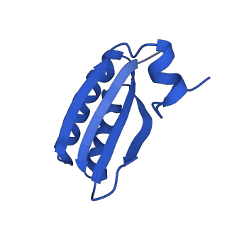 9307_6mzu_GC_v1-3
Cryo-EM structure of the HO BMC shell: BMC-TD focused structure, closed state