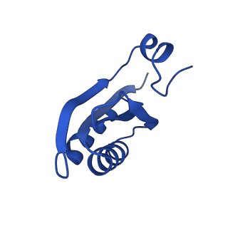 9307_6mzu_GD_v1-3
Cryo-EM structure of the HO BMC shell: BMC-TD focused structure, closed state