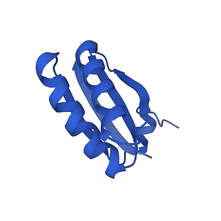 9307_6mzu_GF_v1-2
Cryo-EM structure of the HO BMC shell: BMC-TD focused structure, closed state