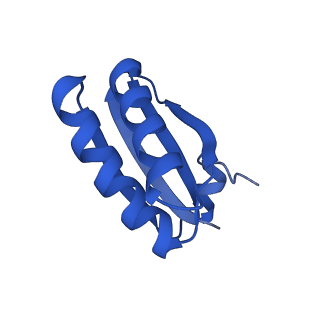 9307_6mzu_GF_v1-3
Cryo-EM structure of the HO BMC shell: BMC-TD focused structure, closed state