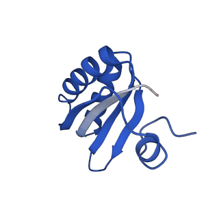 9307_6mzu_HA_v1-3
Cryo-EM structure of the HO BMC shell: BMC-TD focused structure, closed state