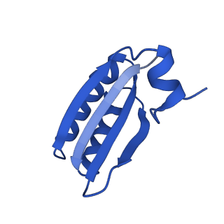 9307_6mzu_HB_v1-2
Cryo-EM structure of the HO BMC shell: BMC-TD focused structure, closed state
