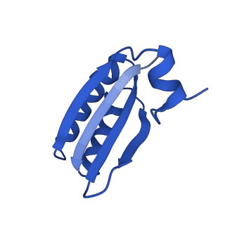 9307_6mzu_HB_v1-3
Cryo-EM structure of the HO BMC shell: BMC-TD focused structure, closed state