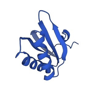 9307_6mzu_HD_v1-3
Cryo-EM structure of the HO BMC shell: BMC-TD focused structure, closed state