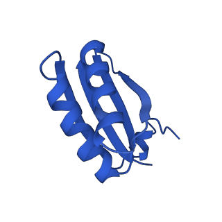 9307_6mzu_HE_v1-2
Cryo-EM structure of the HO BMC shell: BMC-TD focused structure, closed state