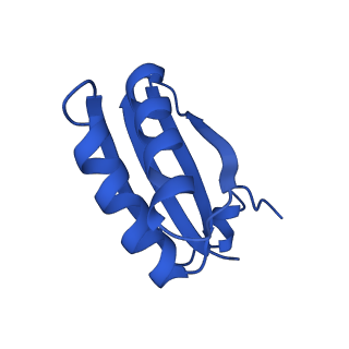 9307_6mzu_HE_v1-3
Cryo-EM structure of the HO BMC shell: BMC-TD focused structure, closed state