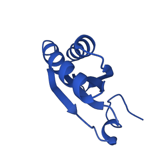 9307_6mzu_HF_v1-3
Cryo-EM structure of the HO BMC shell: BMC-TD focused structure, closed state