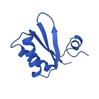 9307_6mzu_IC_v1-3
Cryo-EM structure of the HO BMC shell: BMC-TD focused structure, closed state