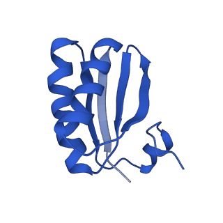 9307_6mzu_ID_v1-2
Cryo-EM structure of the HO BMC shell: BMC-TD focused structure, closed state