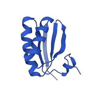 9307_6mzu_ID_v1-3
Cryo-EM structure of the HO BMC shell: BMC-TD focused structure, closed state