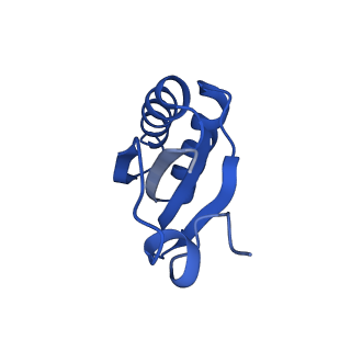 9307_6mzu_IF_v1-2
Cryo-EM structure of the HO BMC shell: BMC-TD focused structure, closed state
