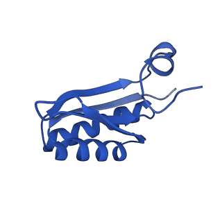 9307_6mzu_JA_v1-2
Cryo-EM structure of the HO BMC shell: BMC-TD focused structure, closed state
