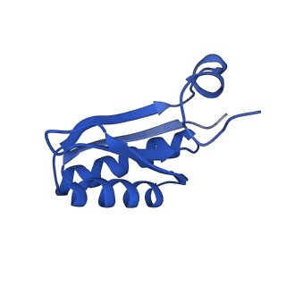 9307_6mzu_JA_v1-3
Cryo-EM structure of the HO BMC shell: BMC-TD focused structure, closed state