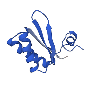 9307_6mzu_JB_v1-3
Cryo-EM structure of the HO BMC shell: BMC-TD focused structure, closed state