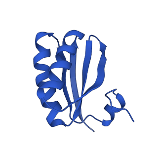 9307_6mzu_JC_v1-2
Cryo-EM structure of the HO BMC shell: BMC-TD focused structure, closed state
