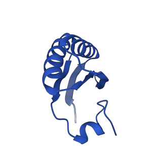 9307_6mzu_JD_v1-2
Cryo-EM structure of the HO BMC shell: BMC-TD focused structure, closed state