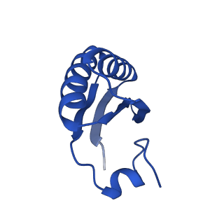 9307_6mzu_JD_v1-3
Cryo-EM structure of the HO BMC shell: BMC-TD focused structure, closed state