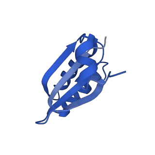 9307_6mzu_JF_v1-3
Cryo-EM structure of the HO BMC shell: BMC-TD focused structure, closed state