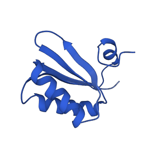 9307_6mzu_KA_v1-3
Cryo-EM structure of the HO BMC shell: BMC-TD focused structure, closed state