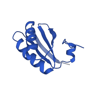 9307_6mzu_KB_v1-2
Cryo-EM structure of the HO BMC shell: BMC-TD focused structure, closed state