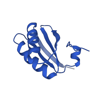 9307_6mzu_KB_v1-3
Cryo-EM structure of the HO BMC shell: BMC-TD focused structure, closed state