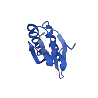 9307_6mzu_KD_v1-2
Cryo-EM structure of the HO BMC shell: BMC-TD focused structure, closed state