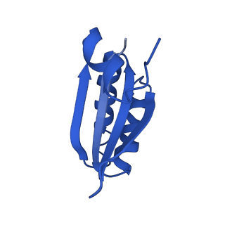 9307_6mzu_KE_v1-3
Cryo-EM structure of the HO BMC shell: BMC-TD focused structure, closed state