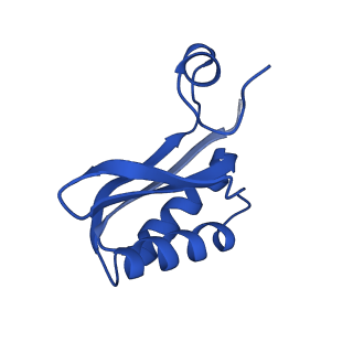 9307_6mzu_KF_v1-3
Cryo-EM structure of the HO BMC shell: BMC-TD focused structure, closed state