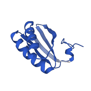 9307_6mzu_LA_v1-3
Cryo-EM structure of the HO BMC shell: BMC-TD focused structure, closed state