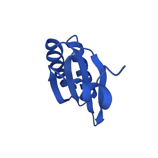 9307_6mzu_LC_v1-2
Cryo-EM structure of the HO BMC shell: BMC-TD focused structure, closed state