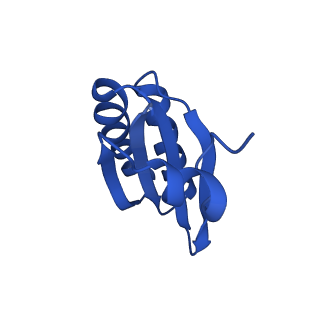 9307_6mzu_LC_v1-3
Cryo-EM structure of the HO BMC shell: BMC-TD focused structure, closed state