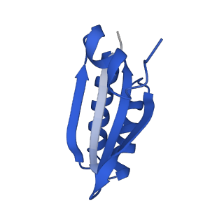 9307_6mzu_LD_v1-3
Cryo-EM structure of the HO BMC shell: BMC-TD focused structure, closed state