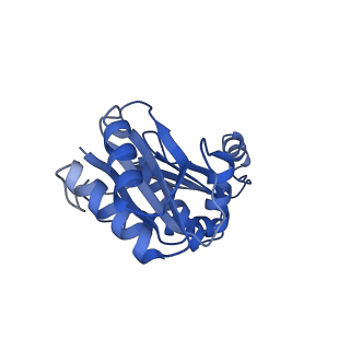 9308_6mzv_A_v1-2
Cryo-EM structure of the HO BMC shell: BMC-TD focused structure, widened inner ring