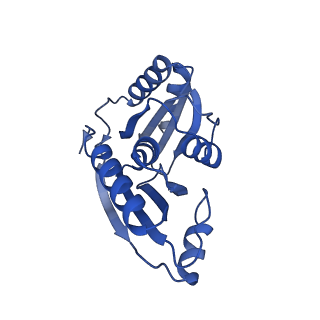 9308_6mzv_B_v1-2
Cryo-EM structure of the HO BMC shell: BMC-TD focused structure, widened inner ring