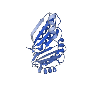 9308_6mzv_C_v1-2
Cryo-EM structure of the HO BMC shell: BMC-TD focused structure, widened inner ring