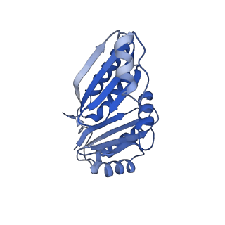 9308_6mzv_C_v1-3
Cryo-EM structure of the HO BMC shell: BMC-TD focused structure, widened inner ring