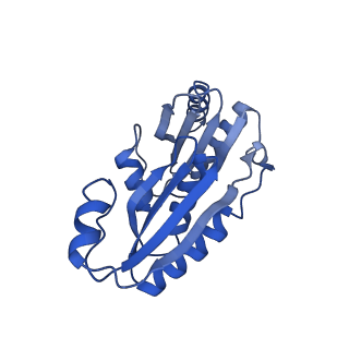 9308_6mzv_D_v1-2
Cryo-EM structure of the HO BMC shell: BMC-TD focused structure, widened inner ring