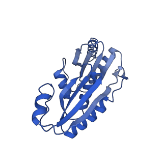 9308_6mzv_D_v1-3
Cryo-EM structure of the HO BMC shell: BMC-TD focused structure, widened inner ring