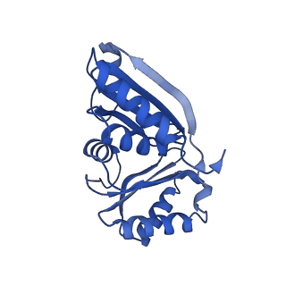 9308_6mzv_E_v1-2
Cryo-EM structure of the HO BMC shell: BMC-TD focused structure, widened inner ring