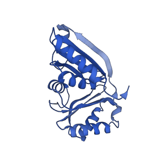 9308_6mzv_E_v1-3
Cryo-EM structure of the HO BMC shell: BMC-TD focused structure, widened inner ring