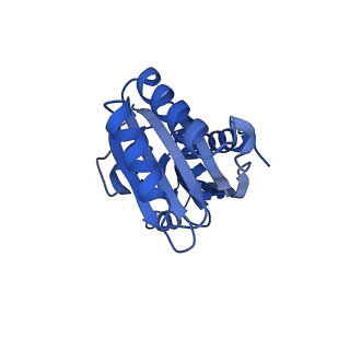9308_6mzv_F_v1-2
Cryo-EM structure of the HO BMC shell: BMC-TD focused structure, widened inner ring