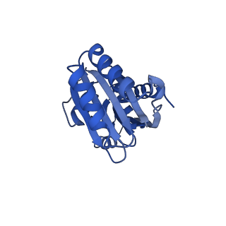 9308_6mzv_F_v1-3
Cryo-EM structure of the HO BMC shell: BMC-TD focused structure, widened inner ring