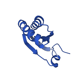 9308_6mzv_GA_v1-3
Cryo-EM structure of the HO BMC shell: BMC-TD focused structure, widened inner ring