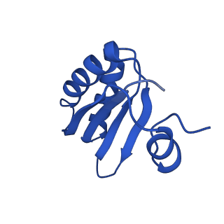 9308_6mzv_GB_v1-3
Cryo-EM structure of the HO BMC shell: BMC-TD focused structure, widened inner ring