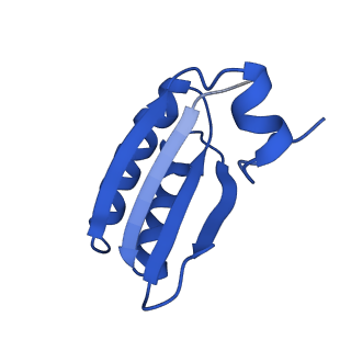 9308_6mzv_GC_v1-3
Cryo-EM structure of the HO BMC shell: BMC-TD focused structure, widened inner ring